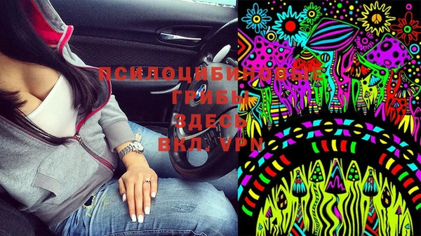 apvp Алексин