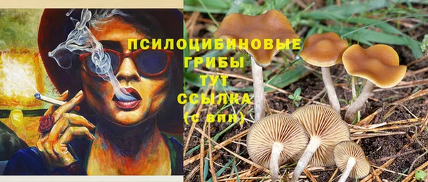 apvp Алексин