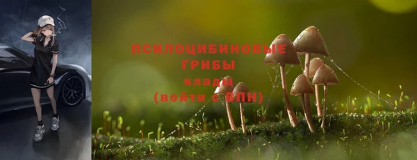 прущие грибы Алексеевка