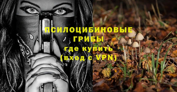 героин Алзамай