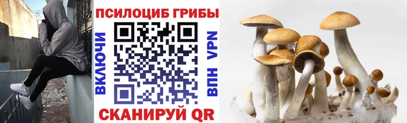 купить наркотик  Орёл  Галлюциногенные грибы GOLDEN TEACHER 